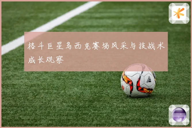 格斗巨星乌西克赛场风采与技战术成长观察