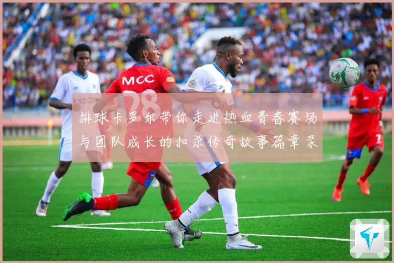排球卡罗尔带你走进热血青春赛场与团队成长的扣杀传奇故事篇章录