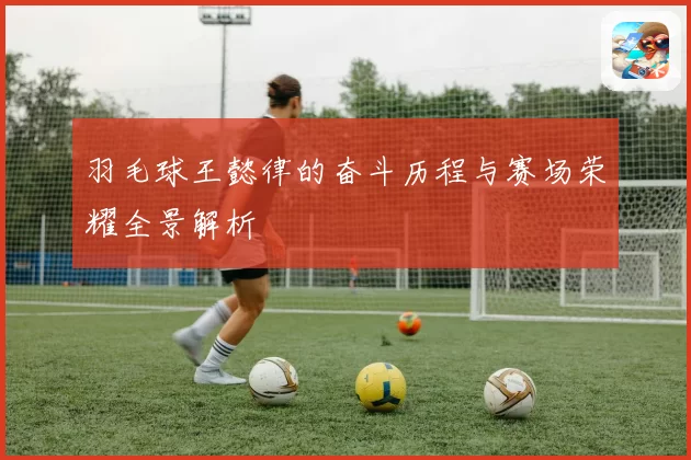 羽毛球王懿律的奋斗历程与赛场荣耀全景解析