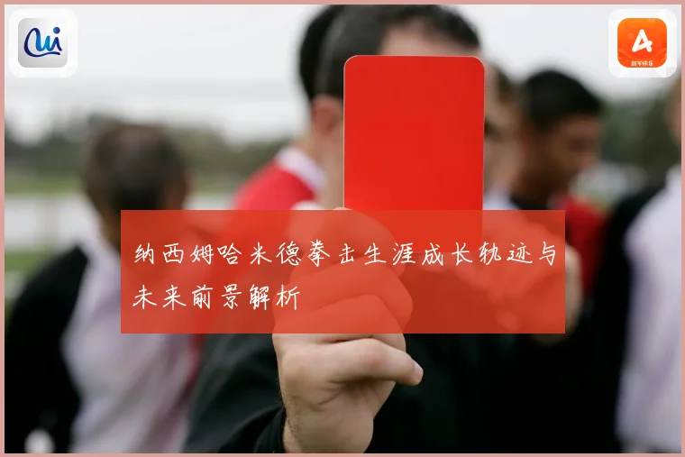 纳西姆哈米德拳击生涯成长轨迹与未来前景解析