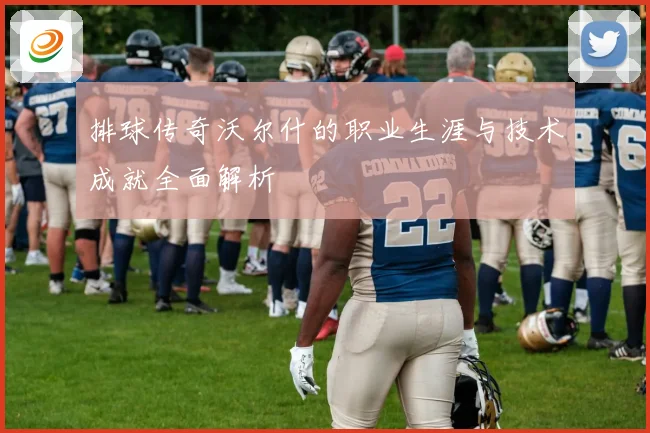 排球传奇沃尔什的职业生涯与技术成就全面解析