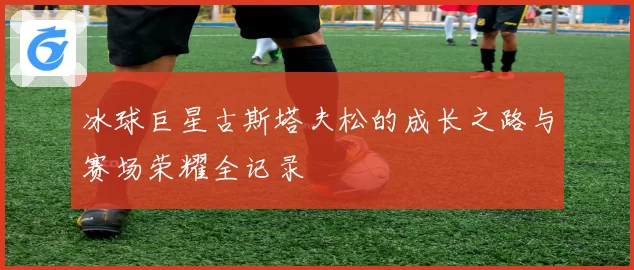 冰球巨星古斯塔夫松的成长之路与赛场荣耀全记录