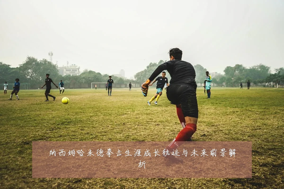 纳西姆哈米德拳击生涯成长轨迹与未来前景解析