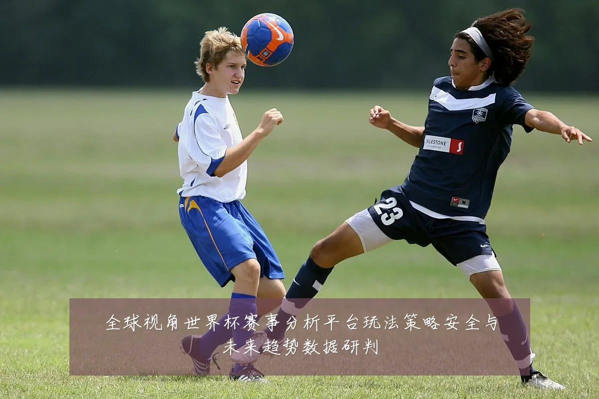 全球视角世界杯赛事分析平台玩法策略安全与未来趋势数据研判