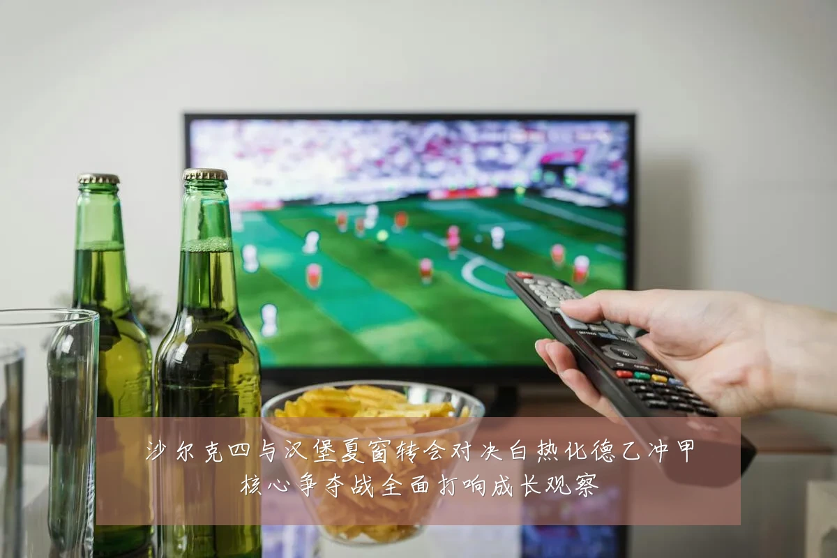 沙尔克四与汉堡夏窗转会对决白热化德乙冲甲核心争夺战全面打响成长观察